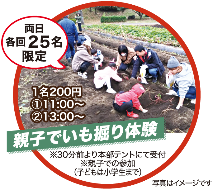 親子でいも掘り体験